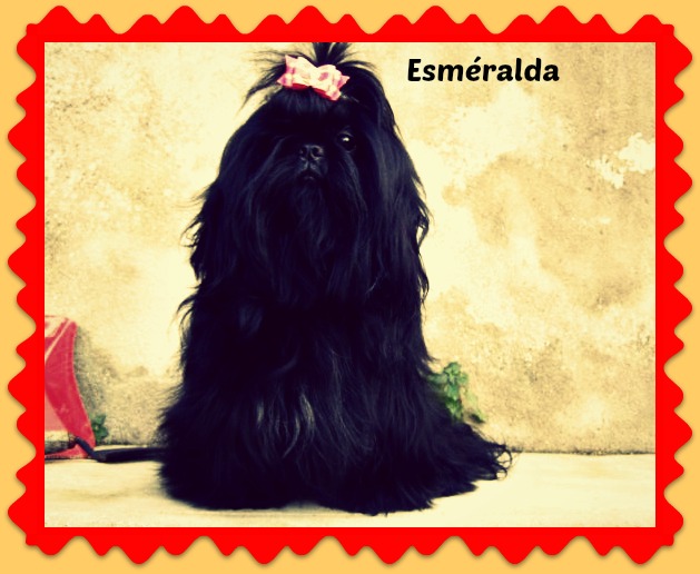 Esméralda De L'étoile De Fuguihia